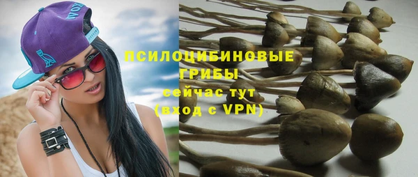 герыч Алзамай